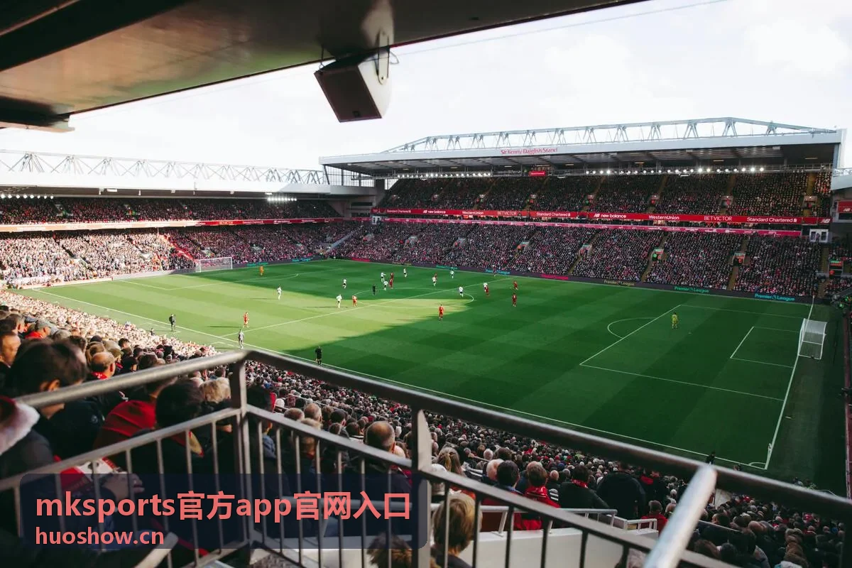 mksports官方app官网入口 全明星投票活动介绍